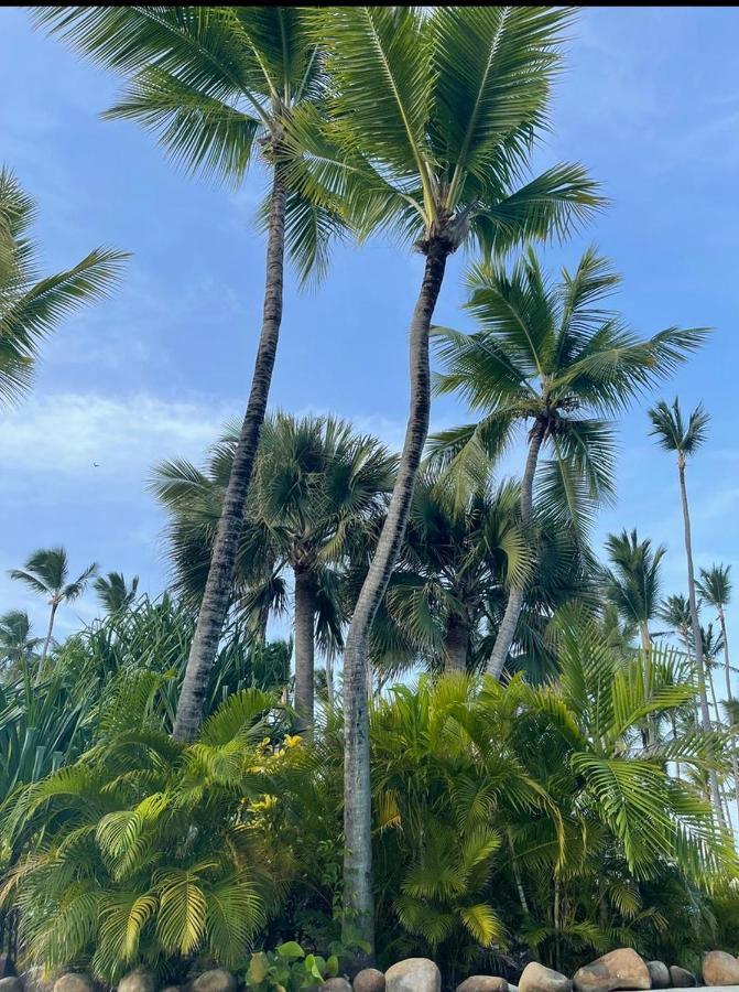 Yonah Comfort Punta Cana, Shared Apartment Luaran gambar